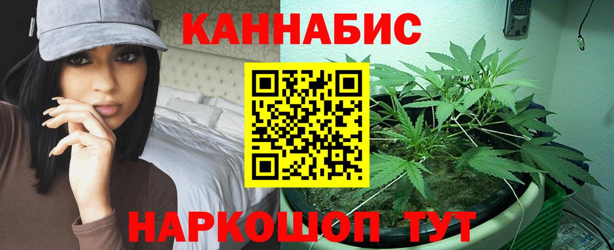 Шишки марихуана сатива Мелеуз